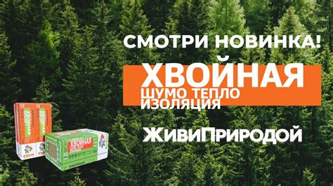 Вата из ДЕРЕВА для ШУМОИЗОЛЯЦИИ! Такого вы не Видели | Обзор и Тест на ...