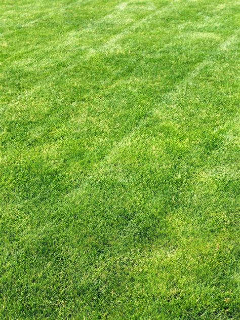 Spring Lawn Care Tips To Dos Hgtv