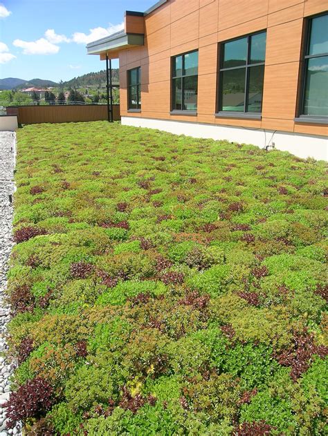 Sedum Green Roof - Intermountain Roofscape