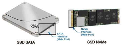 NVMe Pengertian NVMe SSD NVMe Dan Form Factor