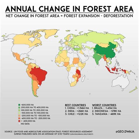 annual change  forest area mapped vivid maps
