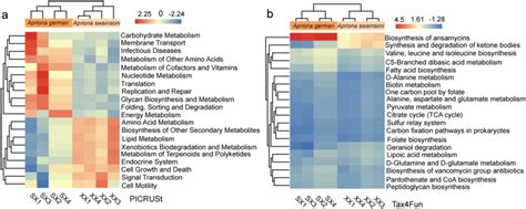 Heat Maps And Hierarchical Clustering Of Differentially Abundant Kegg