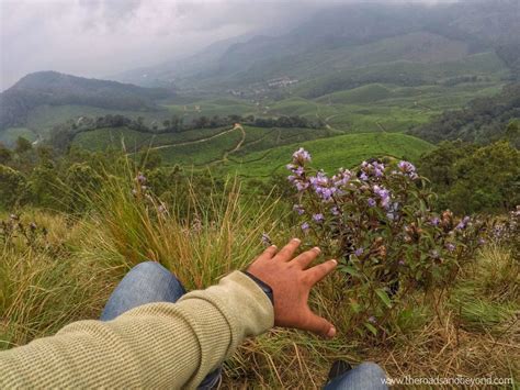 Kolukkumalai and Vattavada: must visit places in Munnar