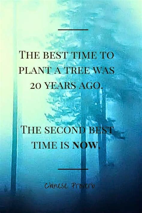 The Best Time To Plant A Tree Chinese Proverb 735x1102 Words