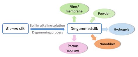 Schema of the Bombyx mori silk processing. | Download Scientific Diagram