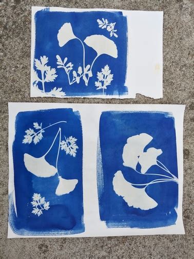 Alternative Photography Cyanotype For Beginners