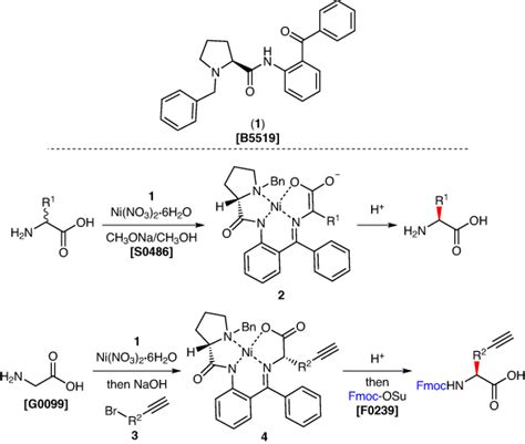 Chiral Auxiliary For The Synthesis Of Optically Active Amino Acids