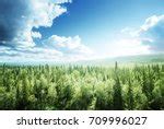 forest  sky image  stock photo public domain photo cc images