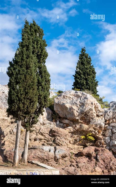 Greece Cypress Hi Res Stock Photography And Images Alamy