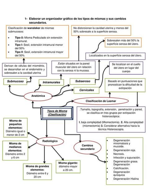 Tipos De Miomas CINDY PAOLA GARCIA RIVAS UDocz
