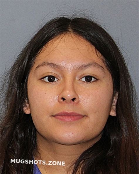 Abarca Lisset Guadalupe Cooke County Mugshots Zone