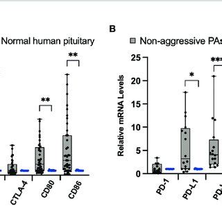 Immune Checkpoint Molecule MRNA Expression In Pituitary Adenomas