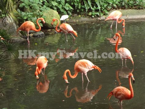 嘉道理農場暨植物園 地址和聯絡有關信息 香港旅遊必備網站