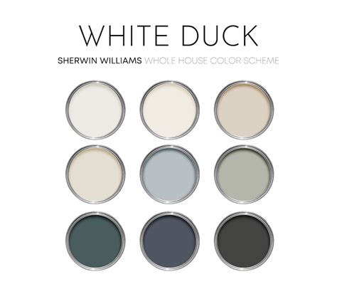 White Duck Sherwin Williams Paint Palette Modern Neutral Calm Classic