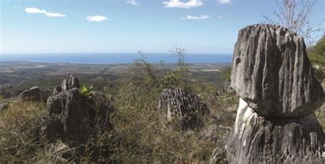 30 best images about Cuevas de Puerto Rico on Pinterest | Islands ...