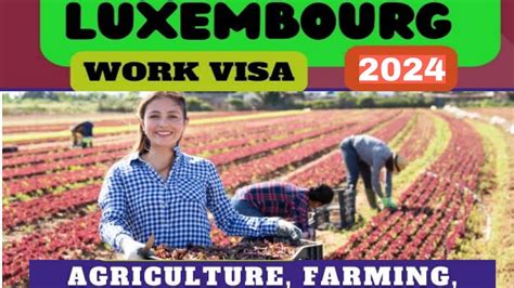 Luxembourg Work Permit Visa 2024 Luxemburg Job Europe Job YouTube