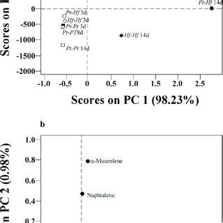 Pca Scores A And Loadings B Plots Obtained From The Mean Centred