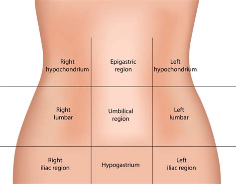 Upper Abdominal Pain: Find Out What is Causing It and What You Can Do