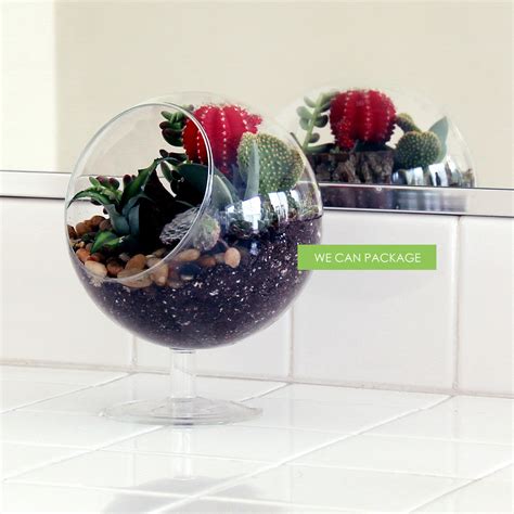 Hanging Glass Globes Geometric Terrarium Containers Glass Orbs