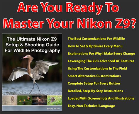 The Ultimate Nikon Z Setup And Usage Guide For Wildlife Photography