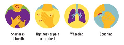 Asthma Vs Allergies Understanding The Connection And Managing Symptoms