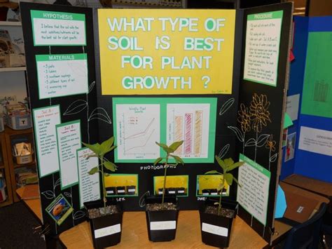 Good Names For Plant Science Fair Projects