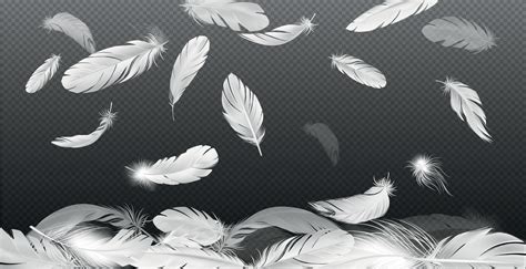 Realistic Falling Feathers Composition Vector Art At Vecteezy