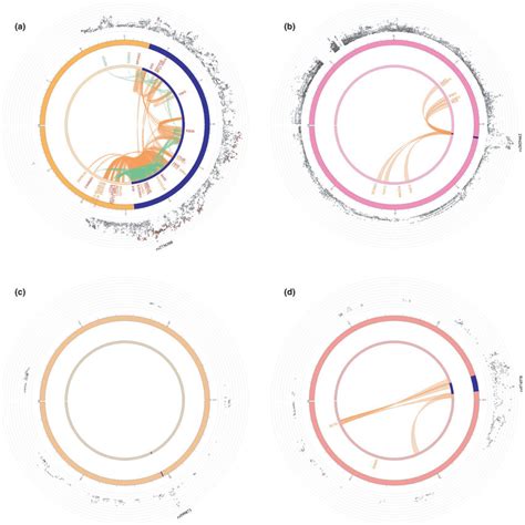 Fuma Circos Plot For The Genomewide Level Locus Chromatin Interaction