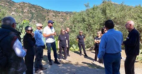 Degustare L Olio Tra Gli Alberi Secolari A San Mauro Castelverde Per