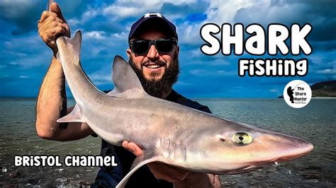 Shark Fishing Uk Beach Fishing Bristol Channel The Shore Hunter