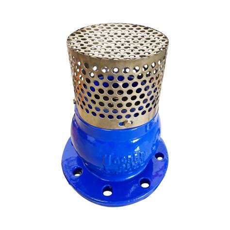 High Quality Lifting Foot Valve Ansi Pn10 Pn16 Dn50 Dn300 Filtered Cast Iron Body Blue Cast Iron