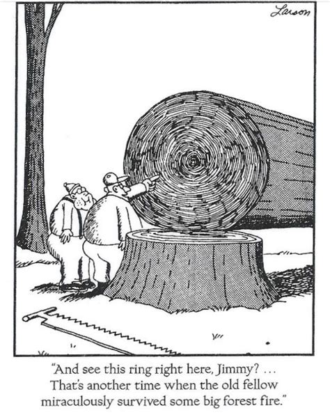 Irony | Far side cartoons, Far side comics, The far side