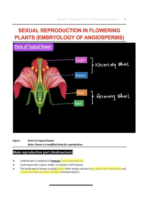 Solution Sexual Reproduction In Flowering Plants Studypool