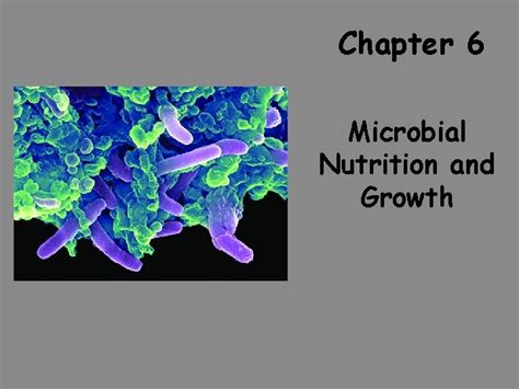 Chapter Microbial Nutrition And Growth Growth Requirements