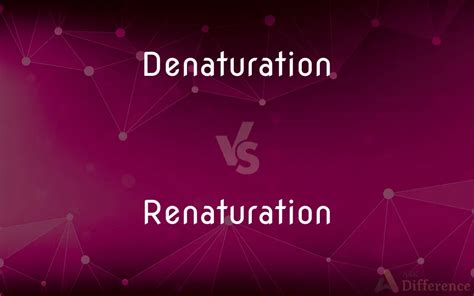 Denaturation Vs Renaturation — Whats The Difference