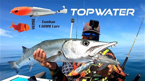 Pescando con Señuelos Topwater de Vense lures gran Barracuda YouTube