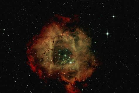 Exciting Views Of The Rosette Nebula STScI