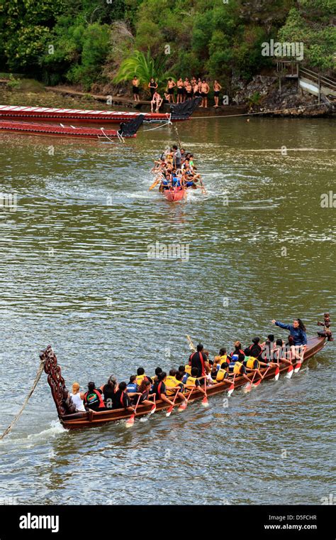 Maori canoe hi-res stock photography and images - Alamy