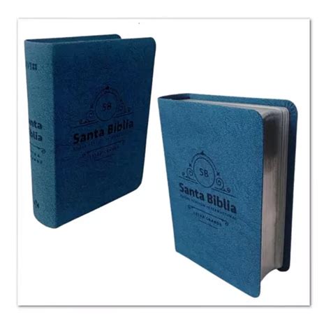 Santa Biblia Nvi Letra Grande Edicion Bolsillo Imit Piel Mercadolibre