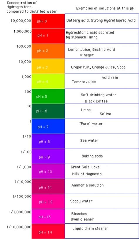 Understanding Soil pH Level to Grow Healthy Plants