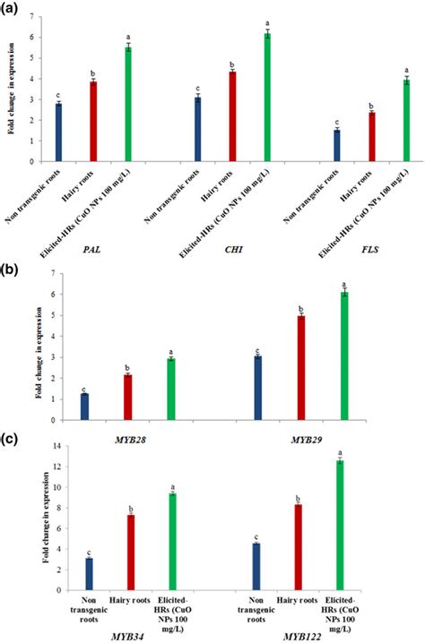 Effect Of Cuo Nps On Expressions Of Phenolic Compounds And