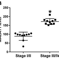 MALAT1 Expression In GCs A MALAT1 Expression In Endometriosis And