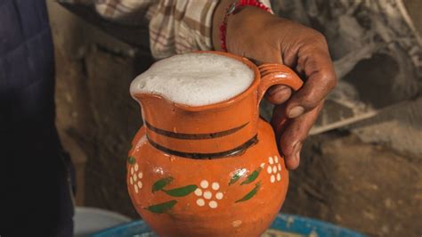 Festival Del Pulque Y El Mezcal Precios Fechas Y Todo Los Que Debes