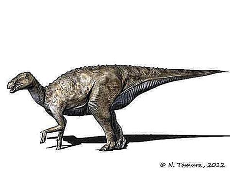 Pictures And Profiles Of Duck Billed Dinosaurs