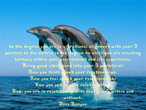 Dolphin Quotes Quotesgram