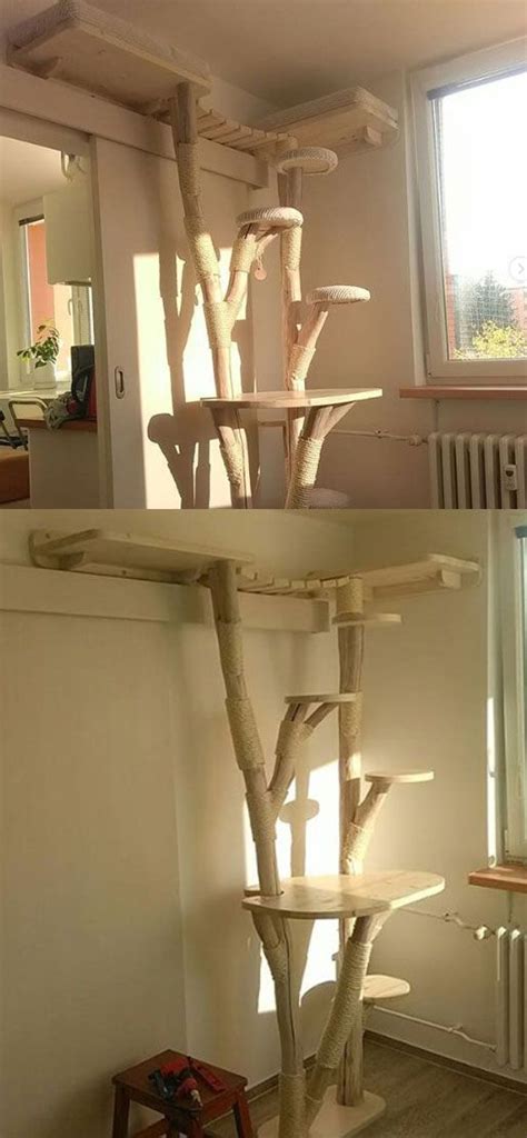 20 Unique Cat Tree Ideas Alice Clayton Unique Cat Trees Unique