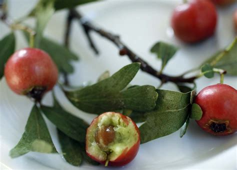 Hawthorn Berries Zaaroor Taste Of Beirut