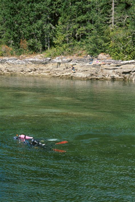 Passengers react as earls cove to saltery bay fares increase 7
