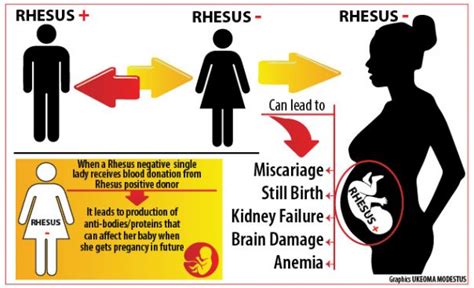 Rhesus Disease: Why everyone should know their rhesus status – Daily Trust