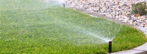 Advantages Of Owning An Automatic Sprinkler System